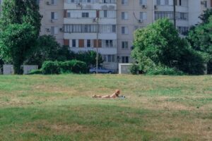 Борьба антициклонов: аномальное тепло до +20 порадует жителей Кубани