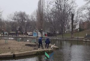 Пес пробрался на Гусиный остров в Краснодаре и не смог его покинуть