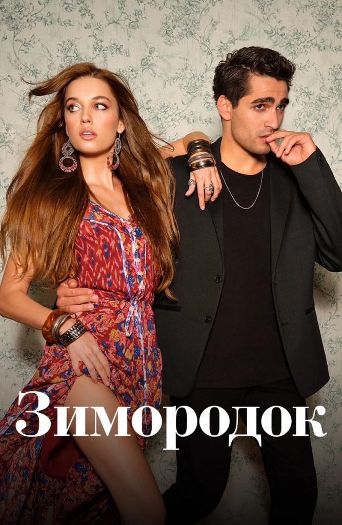 Постер к сериалу Зимородок