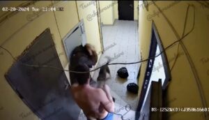 Полиция Краснодара разыскивает мужчину, избившего жену и дочь