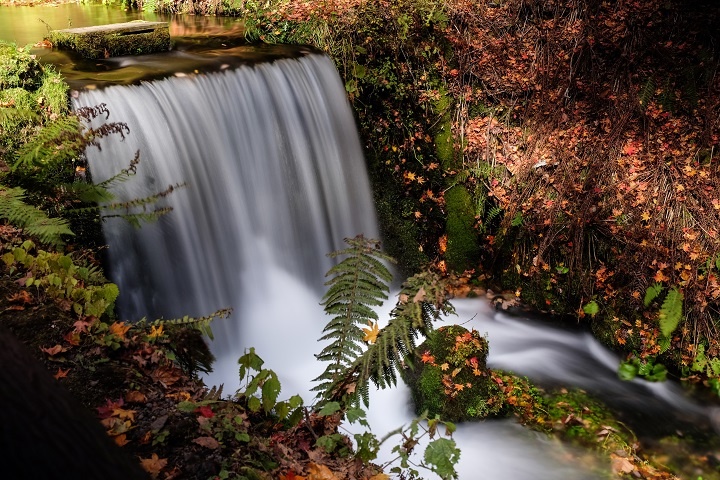 high-angle-shot-waterfall-forest-karuizawa-tokyo-japan.jpg Репродукция картины с водопадом