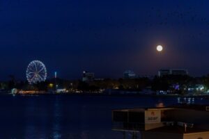 ФАС против морпорта, аптеки — краю, многодетную — под суд: главное на Кубани к вечеру 22 марта