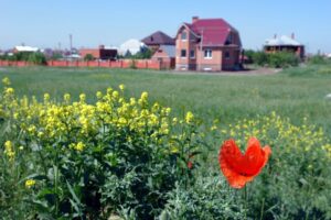 Жителей Карелии и Екатеринбурга обманули с покупкой земли на Кубани