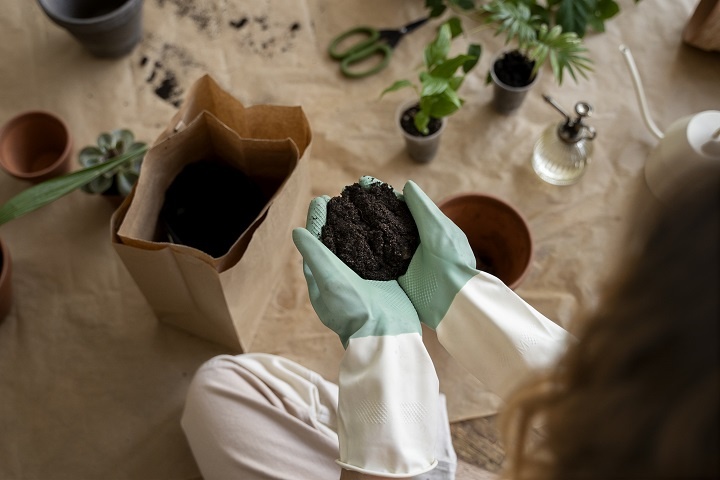 person-transplanting-plants-new-pots.jpg Девушка пересаживает комнатные растения
