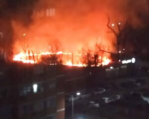 Цемесская роща горела в Новороссийске
