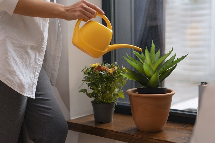 side-view-woman-watering-plant.jpg Девушка поливает комнатные растения