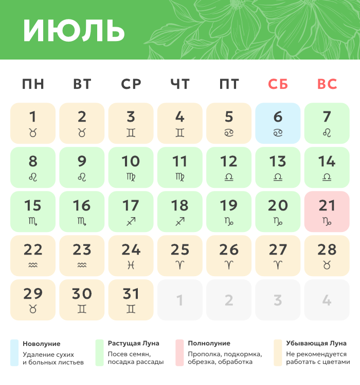июль.png Лунный календарь_июль