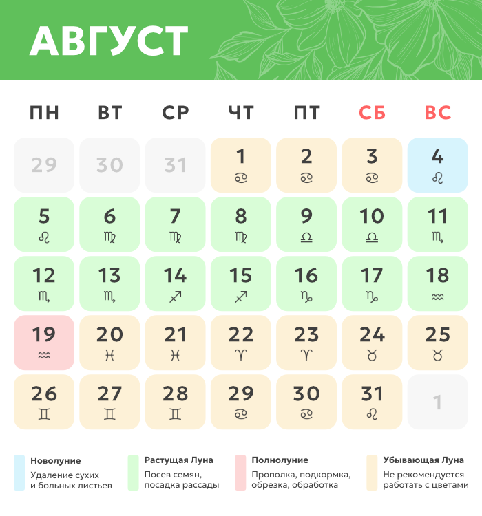 август.png Лунный календарь_август