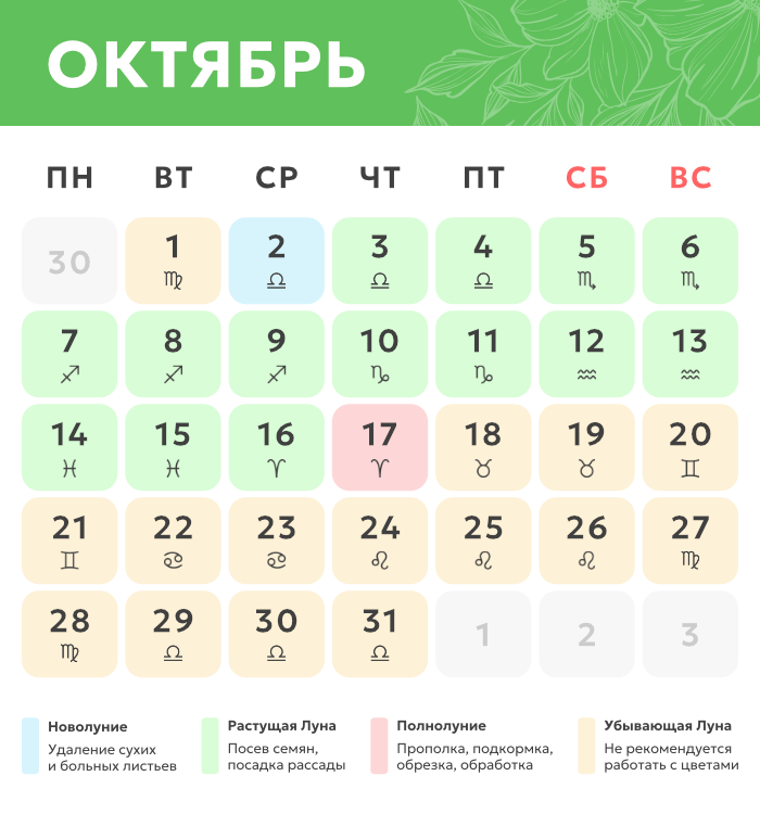октябрь.png Лунный календарь_октябрь