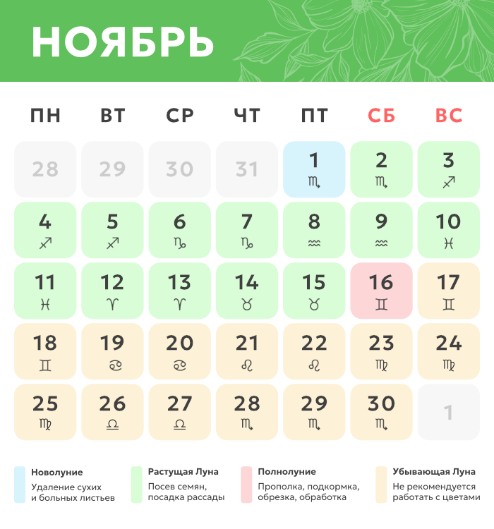 ноябрь.png Лунный календарь_ноябрь