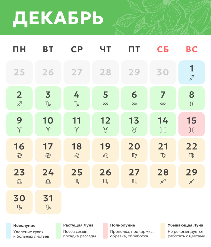 декабрь.png Лунный календарь_декабрь