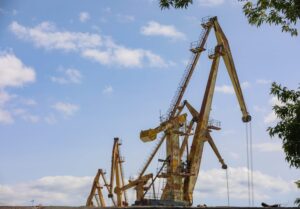Более 9 тысяч саженцев яблонь «Леди Крым» высадят в Геленджике
