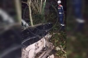 Женщину выбросило из опрокинувшейся в сочинский кювет иномарки