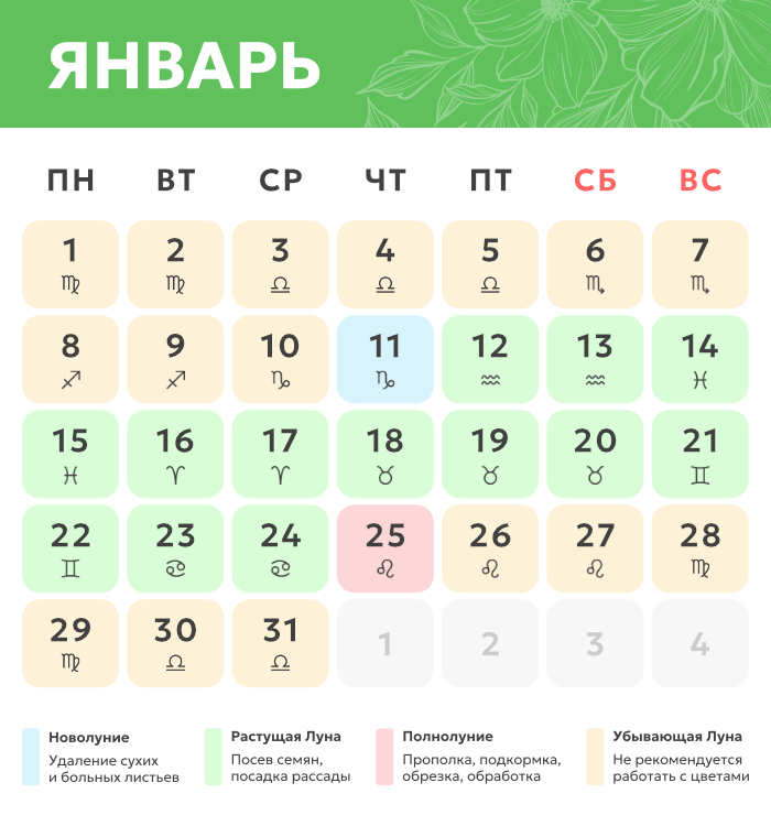 январь.png Лунный календарь_январь