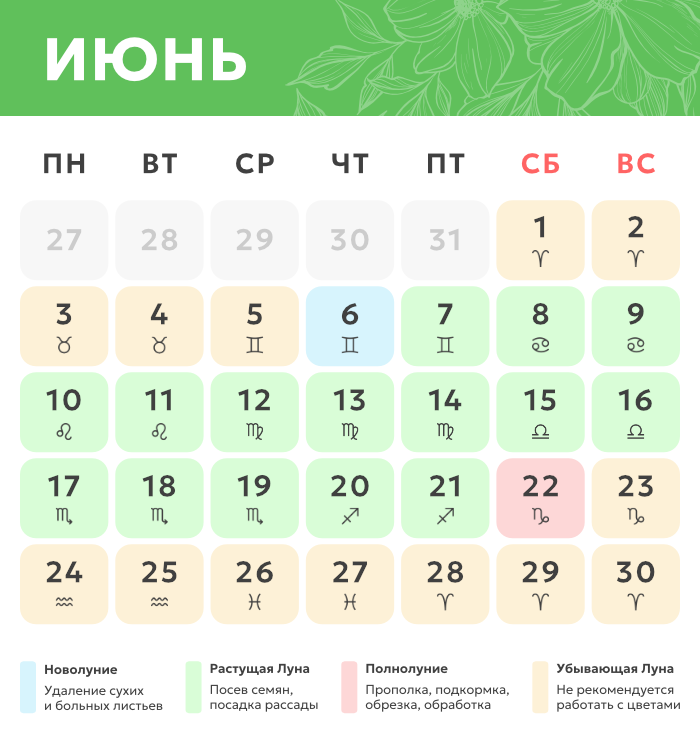 июнь.png Лунный календарь_июнь