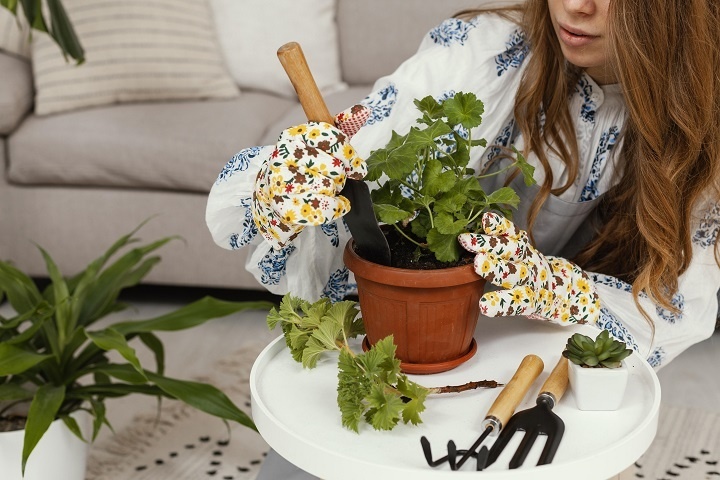 young-woman-planting-home-using-tools.jpg Молодая женщина пересаживает герань