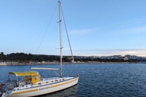 Черное море прогрелось у берегов Сочи и Геленджика до +14 градусов