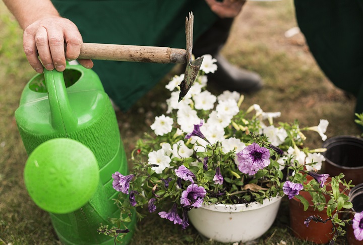 close-up-couple-with-flower-pot.jpg Пожилой мужчина сажает петуньи
