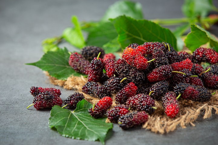 fresh-mulberrys-dark-surface.jpg Свежая шелковица с листьями на сером фоне