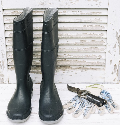 gumboots-with-pruner-gloves.jpg Мужские резиновые сапоги, перчатки и секатор стоят на полке