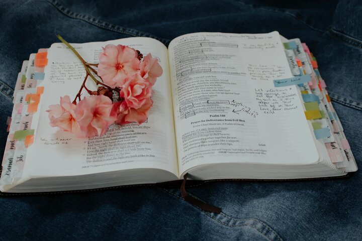 книга с цветком