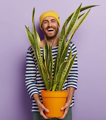 joyous-optimistic-guy-carries-pot-with-indoor-plant-laughs-happily-wears-striped-sailor-jumper.jpg Жизнерадостный мужчина держит в руках горшок с комнатным растением