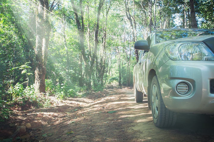 car-with-dirt-road-rally-nature-background.jpg Машина стоит в лесу