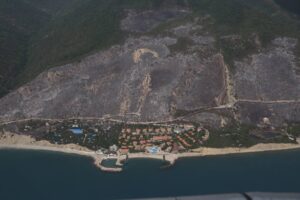 Ущерб от лесного пожара под Новороссийском показали с воздуха