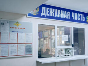 Жительница Краснодара воткнула в голову полицейского вилку