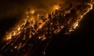 Полыхающий склон горы близ бухты Инал тушат несколько часов