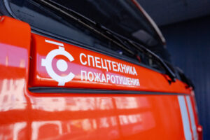 Два лесных пожара локализовали в Северском районе