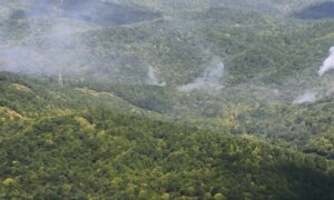 В Туапсинском районе горит 3,2 гектара леса