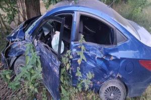 На Кубани подросток врезался на машине в дерево и отправил друга в реанимацию