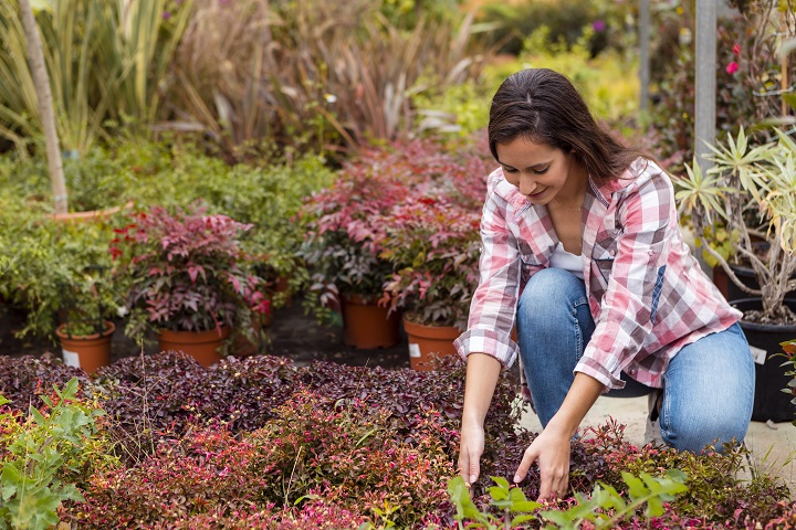 woman-arranging-plants-garden.jpg Девушка сажает цветы в саду