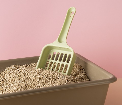 top-view-pet-accessories.jpg Кошачий наполнитель с опилками