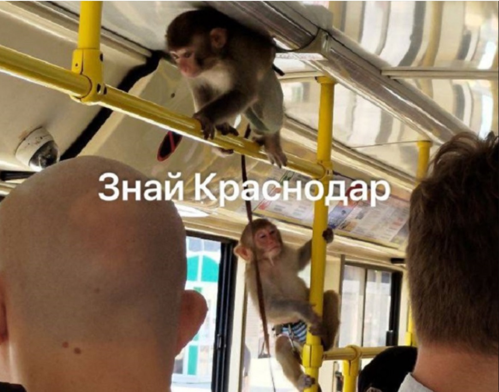 меинтгьшбщюз..jpg