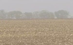 Песчаная буря добралась до Краснодарского края 29 сентября