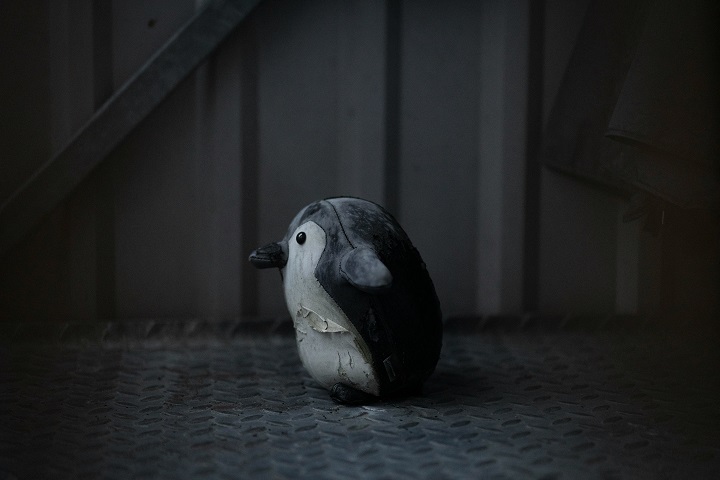 martin-dalsgaard-f7-s2UdgUc0-unsplash.jpg Старая игрушка пингвин стоит на полу