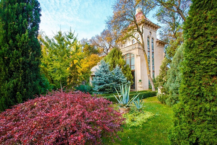 Старый парк в Кабардинке 
