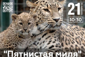 Нацпарк Сочи приглашает пробежать «Пятнистую милю»