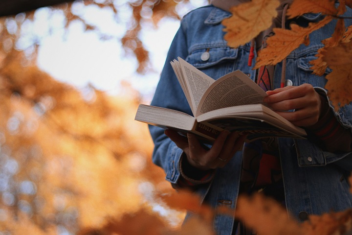 Девушка на прогулке по осеннем парку читает книгу