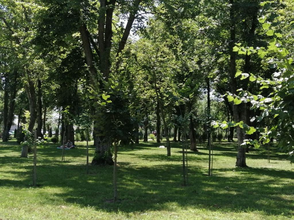 Парк Комсомольский в станице Динской 