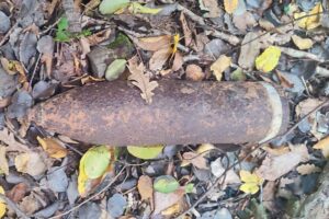 Грибники нашли боеприпасы в лесах на Кубани