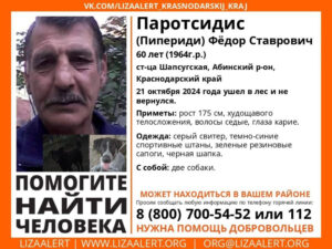 В лесу в Абинском районе пропал мужчина с собаками