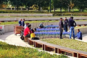 В парке «Краснодар» стартовала установка светящегося шалфея