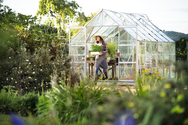 young-woman-working-glass-greenhouse.jpg Молодая женщина работает в теплице