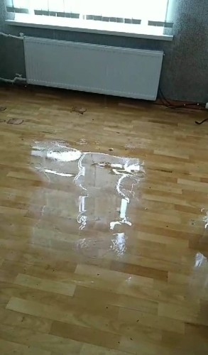 Классы утонули, потолок обвалился: отопительную систему прорвало в школе Краснодарского края