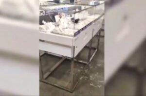 Бомж с куском тротуарной плитки ограбил ювелирный магазин в Анапе