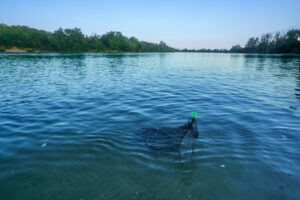 Браконьер порыбачил на 900 тысяч рублей и получил уголовное дело на Кубани