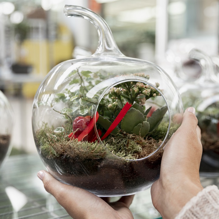 close-up-florist-with-transparent-globe-shaped-vase.jpg Девушка держит в руках открытый флорариум с растениями